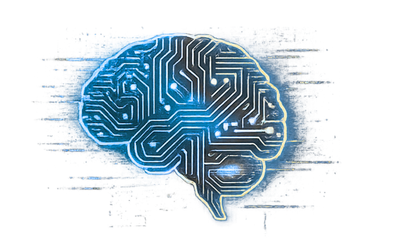 AI circuit brain -- The Instinct layer